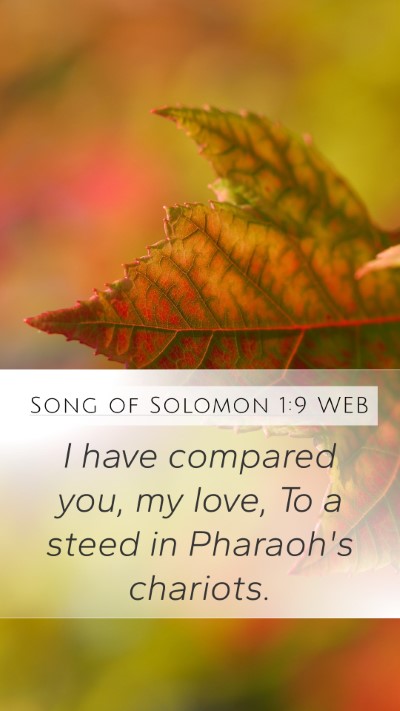 Song of Solomon 1:9 WEB Bible Verse Image