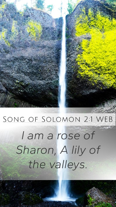 Song of Solomon 2:1 WEB Bible Verse Image