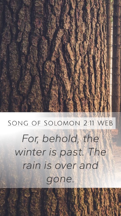Song of Solomon 2:11 WEB Bible Verse Image