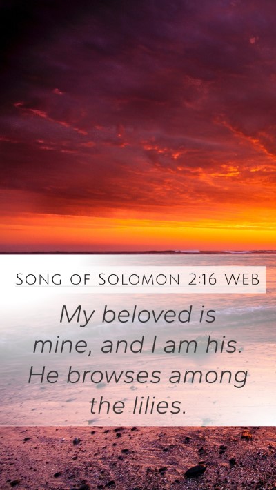 Song of Solomon 2:16 WEB Bible Verse Image