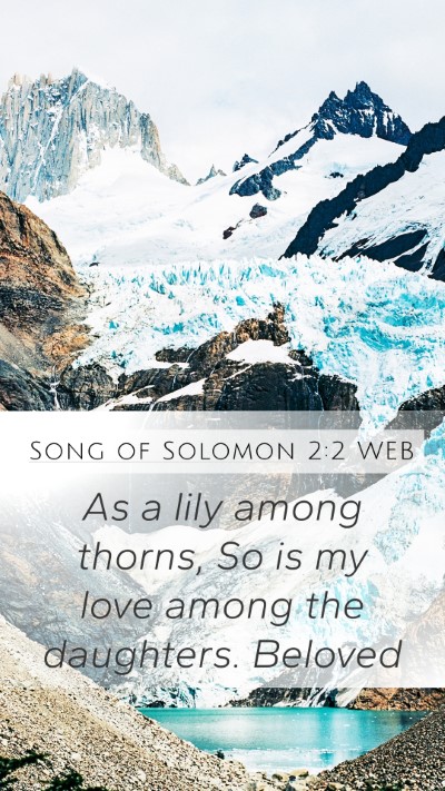 Song of Solomon 2:2 WEB Bible Verse Image