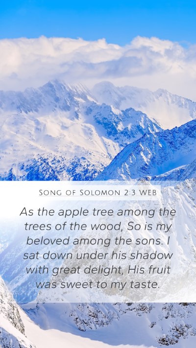 Song of Solomon 2:3 WEB Bible Verse Image
