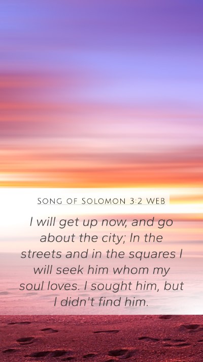 Song of Solomon 3:2 WEB Bible Verse Image