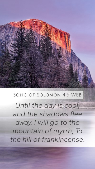 Song of Solomon 4:6 WEB Bible Verse Image