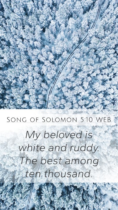 Song of Solomon 5:10 WEB Bible Verse Image