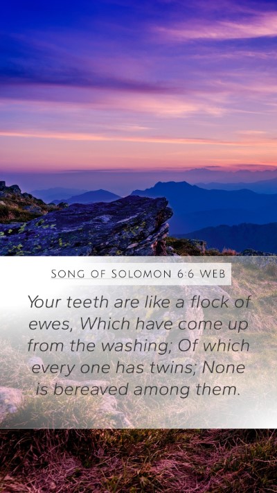 Song of Solomon 6:6 WEB Bible Verse Image