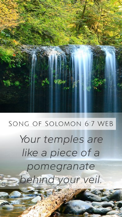 Song of Solomon 6:7 WEB Bible Verse Image