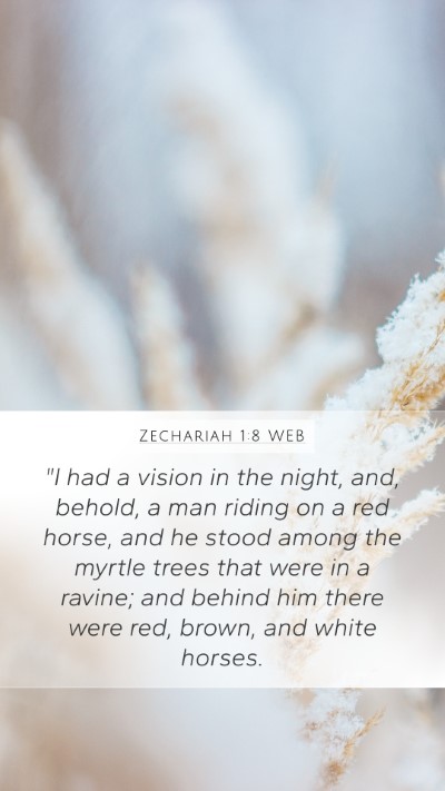 Zechariah 1:8 WEB Bible Verse Image