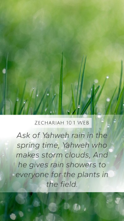 Zechariah 10:1 WEB Bible Verse Image