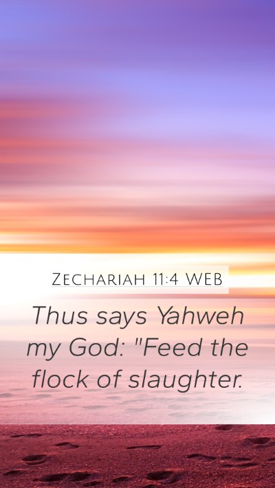 Zechariah 11:4 WEB Bible Verse Image