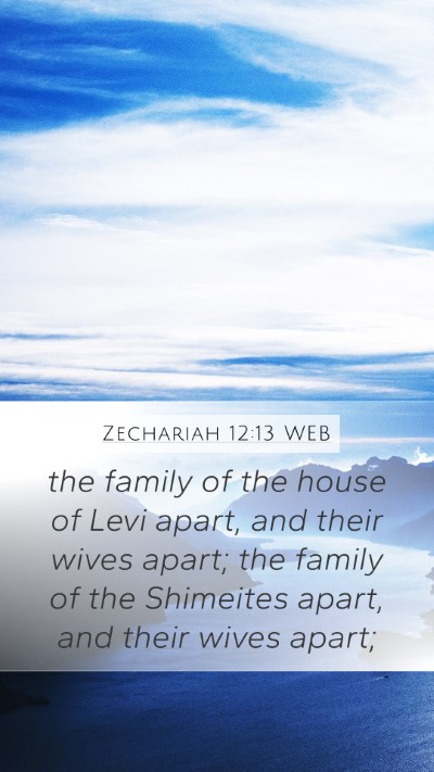 Zechariah 12:13 WEB Bible Verse Image