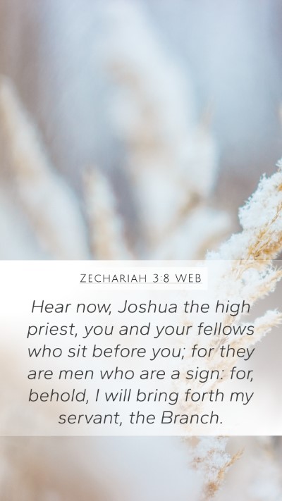 Zechariah 3:8 WEB Bible Verse Image
