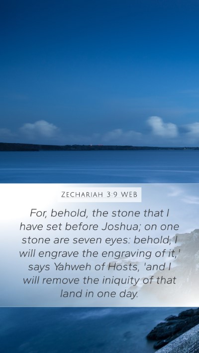 Zechariah 3:9 WEB Bible Verse Image