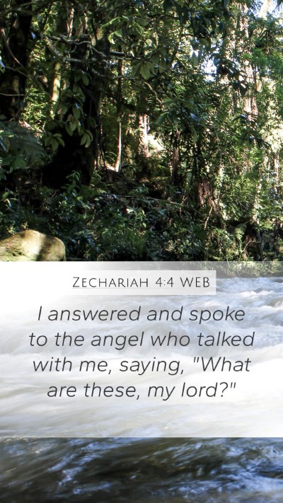 Zechariah 4:4 WEB Mobile Phone Wallpaper - I answered and spoke to the angel who talked with - Mobile Bible Verse Wallpaper