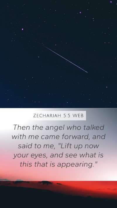 Zechariah 5:5 WEB Bible Verse Image