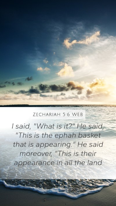 Zechariah 5:6 WEB Bible Verse Image