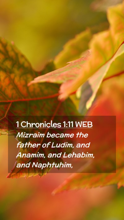 Picture 02 - 1 Chronicles 1:11 WEB Mobile Phone Wallpaper - Mizraim became the father of Ludim, and Anamim, - Mobile Bible Verse Wallpaper
