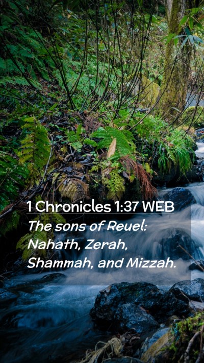 Picture 02 - 1 Chronicles 1:37 WEB Mobile Phone Wallpaper - The sons of Reuel: Nahath, Zerah, Shammah, and - Mobile Bible Verse Wallpaper