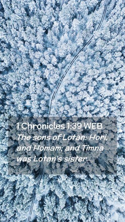 Picture 02 - 1 Chronicles 1:39 WEB Mobile Phone Wallpaper - The sons of Lotan: Hori, and Homam; and Timna was - Mobile Bible Verse Wallpaper