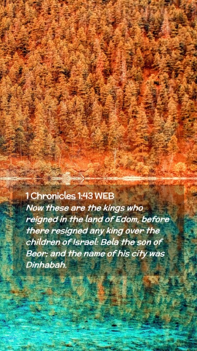 Picture 02 - 1 Chronicles 1:43 WEB Mobile Phone Wallpaper - Now these are the kings who reigned in the land - Mobile Bible Verse Wallpaper