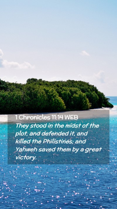Picture 02 - 1 Chronicles 11:14 WEB Mobile Phone Wallpaper - They stood in the midst of the plot, and defended - Mobile Bible Verse Wallpaper