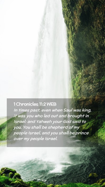 Picture 02 - 1 Chronicles 11:2 WEB Mobile Phone Wallpaper - In times past, even when Saul was king, it was - Mobile Bible Verse Wallpaper