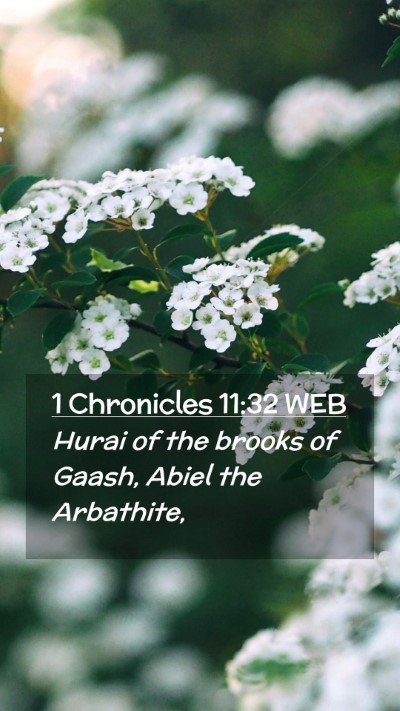 Picture 02 - 1 Chronicles 11:32 WEB Mobile Phone Wallpaper - Hurai of the brooks of Gaash, Abiel the - Mobile Bible Verse Wallpaper
