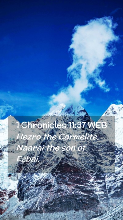 Picture 02 - 1 Chronicles 11:37 WEB Mobile Phone Wallpaper - Hezro the Carmelite, Naarai the son of - Mobile Bible Verse Wallpaper