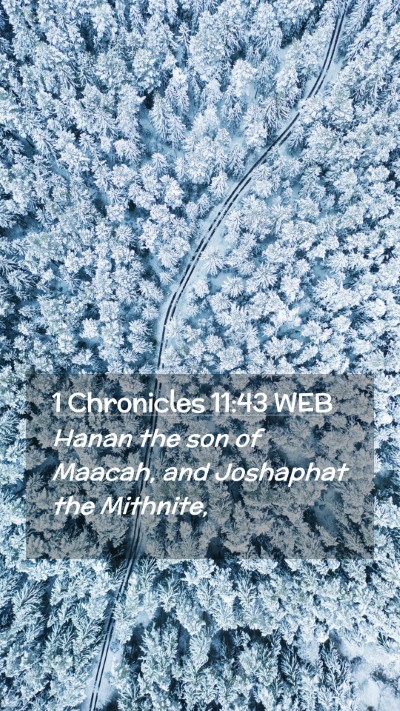 Picture 02 - 1 Chronicles 11:43 WEB Mobile Phone Wallpaper - Hanan the son of Maacah, and Joshaphat the - Mobile Bible Verse Wallpaper