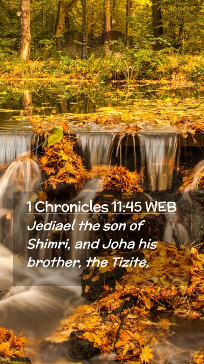 Picture 02 - 1 Chronicles 11:45 WEB Mobile Phone Wallpaper - Jediael the son of Shimri, and Joha his brother, - Mobile Bible Verse Wallpaper