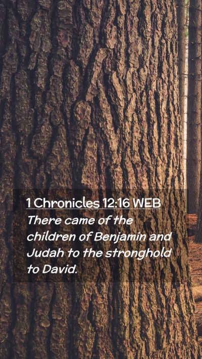 Picture 02 - 1 Chronicles 12:16 WEB Mobile Phone Wallpaper - There came of the children of Benjamin and Judah - Mobile Bible Verse Wallpaper