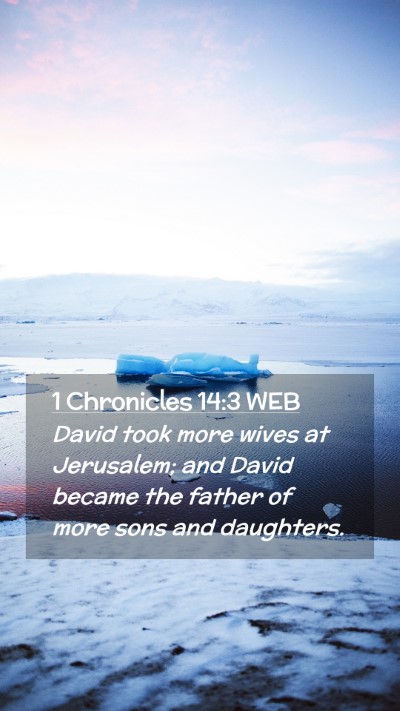 Picture 02 - 1 Chronicles 14:3 WEB Mobile Phone Wallpaper - David took more wives at Jerusalem; and David - Mobile Bible Verse Wallpaper