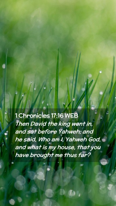 Picture 02 - 1 Chronicles 17:16 WEB Mobile Phone Wallpaper - Then David the king went in, and sat before - Mobile Bible Verse Wallpaper