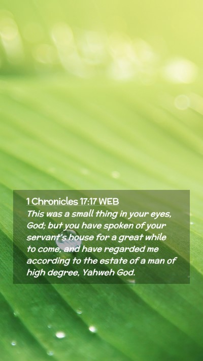 Picture 02 - 1 Chronicles 17:17 WEB Mobile Phone Wallpaper - This was a small thing in your eyes, God; but you - Mobile Bible Verse Wallpaper