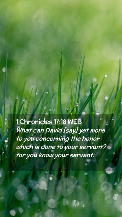 Picture 02 - 1 Chronicles 17:18 WEB Mobile Phone Wallpaper - What can David [say] yet more to you concerning - Mobile Bible Verse Wallpaper