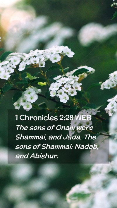 Picture 02 - 1 Chronicles 2:28 WEB Mobile Phone Wallpaper - The sons of Onam were Shammai, and Jada. The sons - Mobile Bible Verse Wallpaper