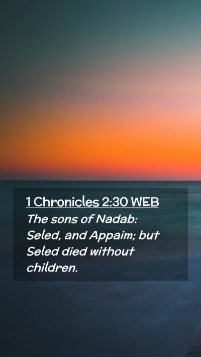 Picture 02 - 1 Chronicles 2:30 WEB Mobile Phone Wallpaper - The sons of Nadab: Seled, and Appaim; but Seled - Mobile Bible Verse Wallpaper
