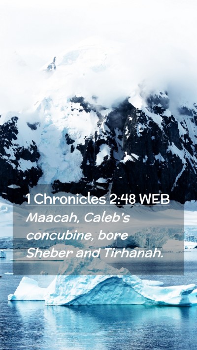 Picture 02 - 1 Chronicles 2:48 WEB Mobile Phone Wallpaper - Maacah, Caleb's concubine, bore Sheber and - Mobile Bible Verse Wallpaper