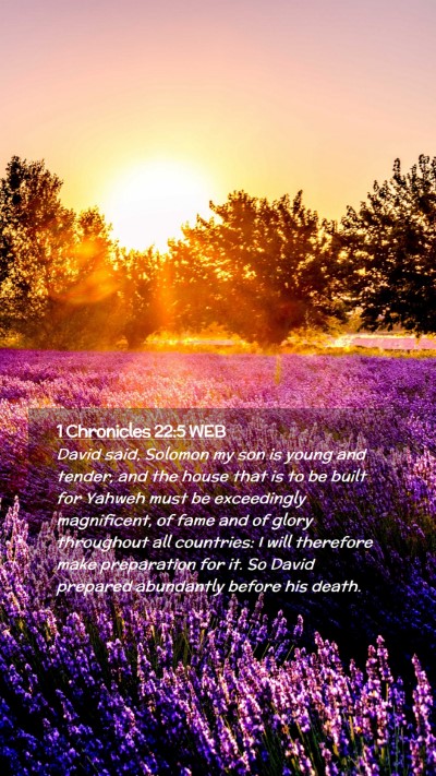 Picture 02 - 1 Chronicles 22:5 WEB Mobile Phone Wallpaper - David said, Solomon my son is young and tender, - Mobile Bible Verse Wallpaper
