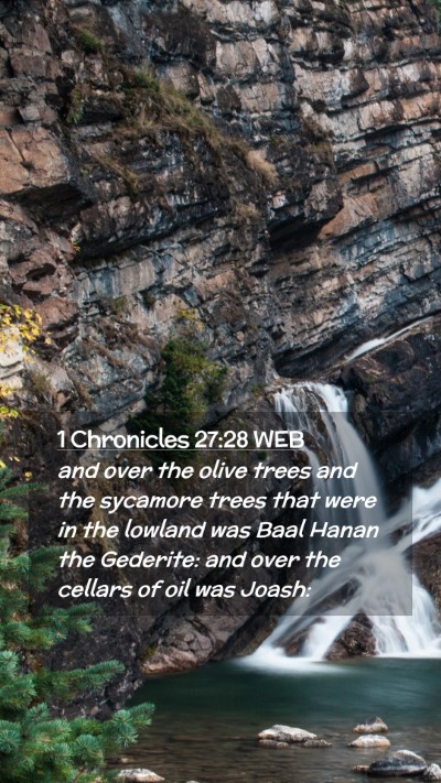 Picture 02 - 1 Chronicles 27:28 WEB Mobile Phone Wallpaper - and over the olive trees and the sycamore trees - Mobile Bible Verse Wallpaper