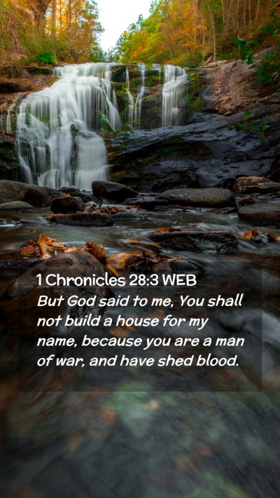 Picture 02 - 1 Chronicles 28:3 WEB Mobile Phone Wallpaper - But God said to me, You shall not build a house - Mobile Bible Verse Wallpaper