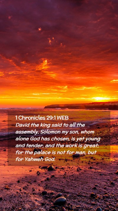 Picture 02 - 1 Chronicles 29:1 WEB Mobile Phone Wallpaper - David the king said to all the assembly, Solomon - Mobile Bible Verse Wallpaper