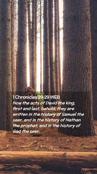 Picture 02 - 1 Chronicles 29:29 WEB Mobile Phone Wallpaper - Now the acts of David the king, first and last, - Mobile Bible Verse Wallpaper