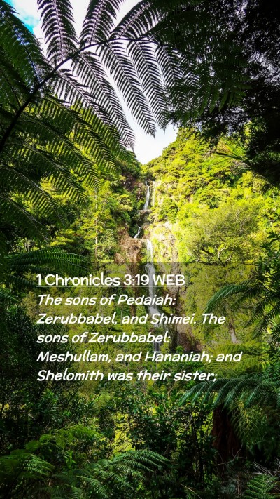 Picture 02 - 1 Chronicles 3:19 WEB Mobile Phone Wallpaper - The sons of Pedaiah: Zerubbabel, and Shimei. The - Mobile Bible Verse Wallpaper