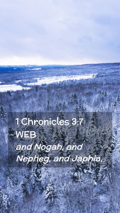 Picture 02 - 1 Chronicles 3:7 WEB Mobile Phone Wallpaper - and Nogah, and Nepheg, and - Mobile Bible Verse Wallpaper
