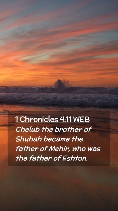 Picture 02 - 1 Chronicles 4:11 WEB Mobile Phone Wallpaper - Chelub the brother of Shuhah became the father of - Mobile Bible Verse Wallpaper