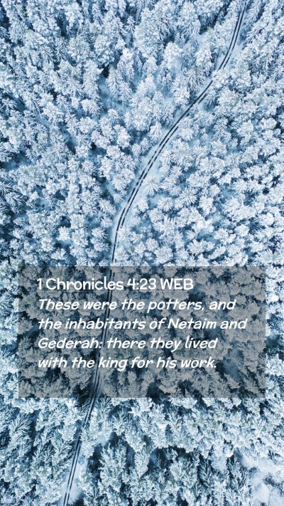 Picture 02 - 1 Chronicles 4:23 WEB Mobile Phone Wallpaper - These were the potters, and the inhabitants of - Mobile Bible Verse Wallpaper