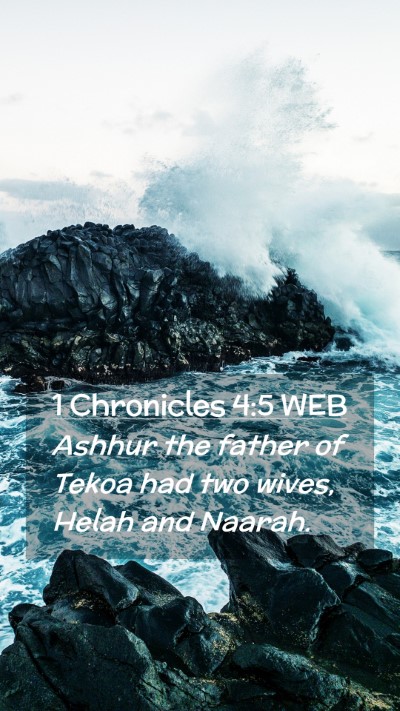 Picture 02 - 1 Chronicles 4:5 WEB Mobile Phone Wallpaper - Ashhur the father of Tekoa had two wives, Helah - Mobile Bible Verse Wallpaper