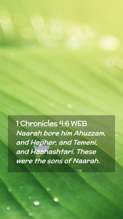 Picture 02 - 1 Chronicles 4:6 WEB Mobile Phone Wallpaper - Naarah bore him Ahuzzam, and Hepher, and Temeni, - Mobile Bible Verse Wallpaper