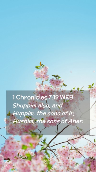 Picture 02 - 1 Chronicles 7:12 WEB Mobile Phone Wallpaper - Shuppim also, and Huppim, the sons of Ir, Hushim, - Mobile Bible Verse Wallpaper